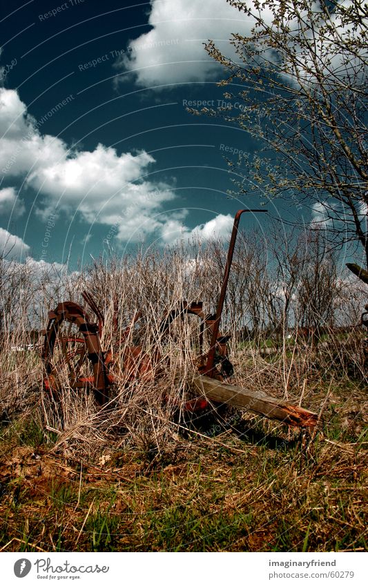 farmer's toy total depri Countries Grass Tree Clouds country Landscape Sky