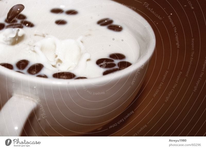 "Coffee with milk" II Milk Café Coffee bean Beans Short exposure Brown White Cup Stagnating Break milky coffee Wooden board Drops of water atreyu