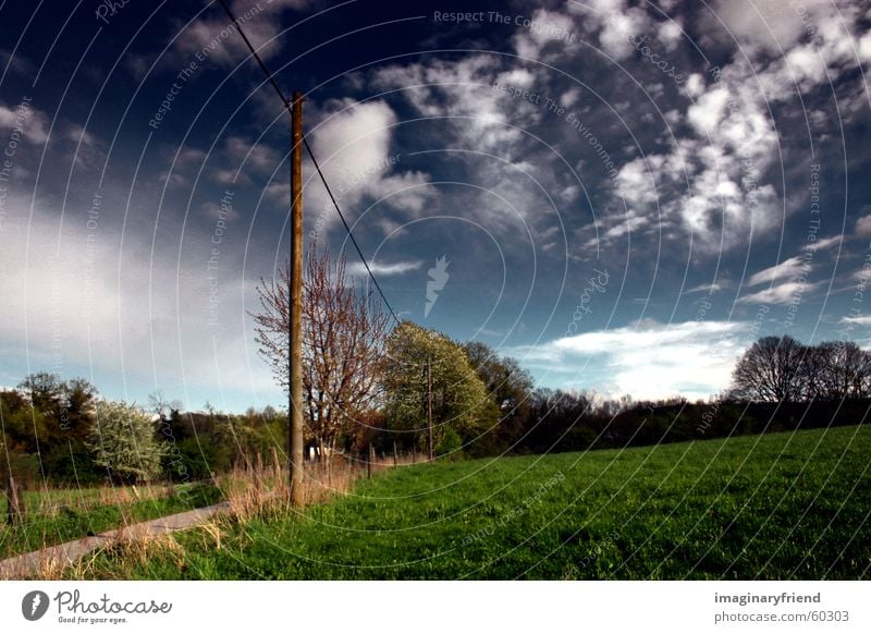 on a wire II Countries Electricity pylon Clouds Grass Meadow country Landscape Sky