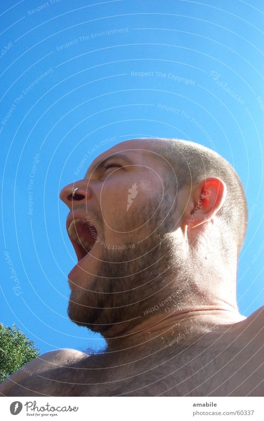 cry for liberation Portrait photograph Man Yawn Facial hair Blue sky Scream