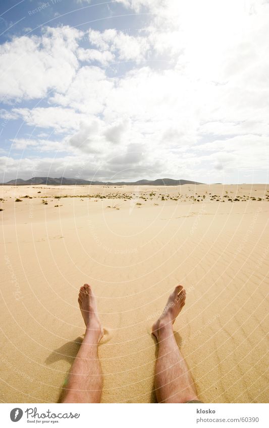 Barefoot in the desert Africa Hiking Physics Summer Hot Horizon Vantage point Infinity Loneliness Desert Sahara Fatigue Warmth Sun Feet Legs Sky Sand