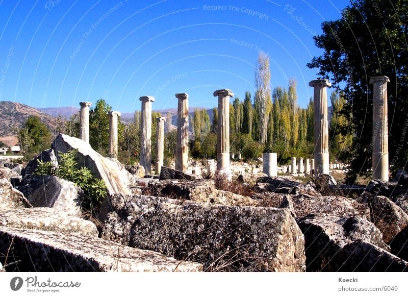 Turkish columns Ruin Turkey Broken Physics Vacation & Travel Architecture Column Stone Destruction Warmth