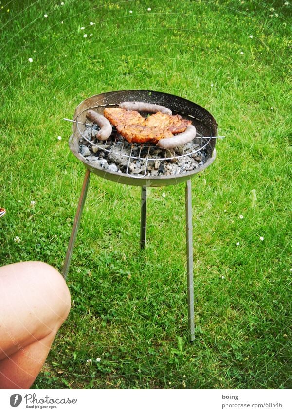 Have a nice weekend. Barbecue (event) Summer Meadow Leisure and hobbies Legs Coal Embers Steak Barbecue (apparatus) Wait Knee Sausage Joy Meat Garden Park