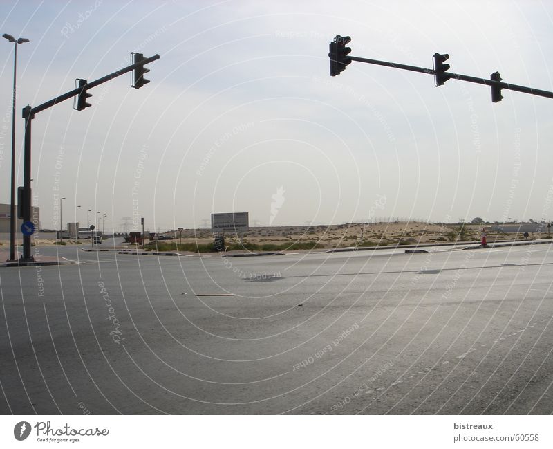 Holidays with Oman Traffic light Dubai Near and Middle East Foreign countries Exterior shot Desert Mixture Street