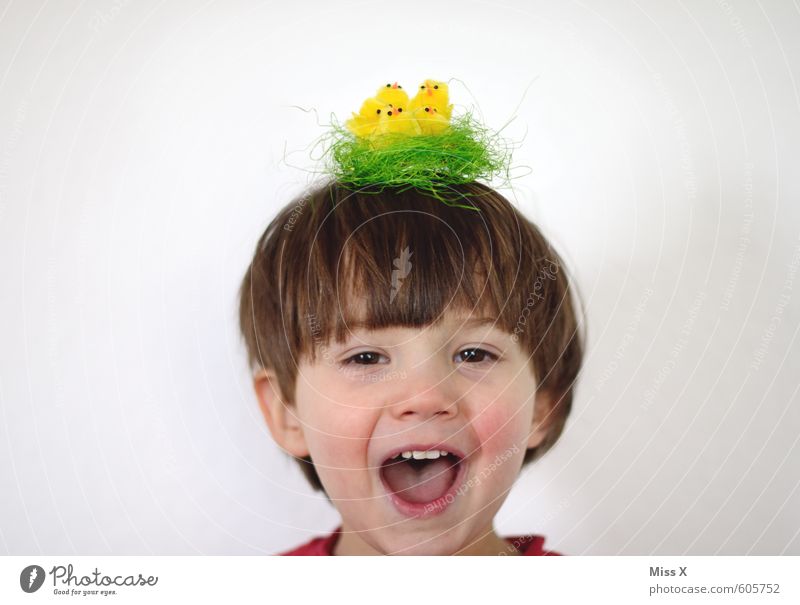 Off to the hairdresser Hair and hairstyles Human being Child Toddler Girl Boy (child) Infancy Head 1 1 - 3 years 3 - 8 years Accessory Brunette Animal Bird