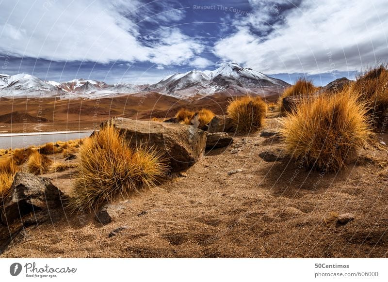 Desert mountain landscape in the Andes of Bolivia Vacation & Travel Tourism Trip Adventure Far-off places Freedom Snow Mountain Hiking Climbing Mountaineering