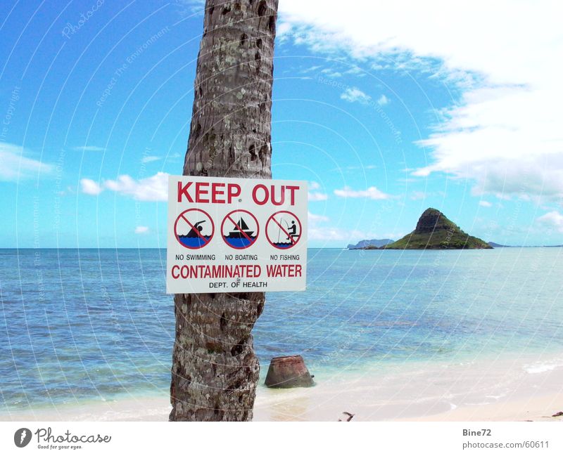 bathing forbidden.... Leisure and hobbies Vacation & Travel Beach Ocean Clouds Palm tree Bans Abstain Hawaii Oahu Idyllic beach Polluted Turquoise Bacterium USA