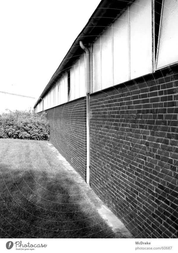 industrial wall Wall (building) Gray Decline Brick Derelict Bushes Heek Village Meadow Thought Future Past Exterior shot Industrial Photography Nature