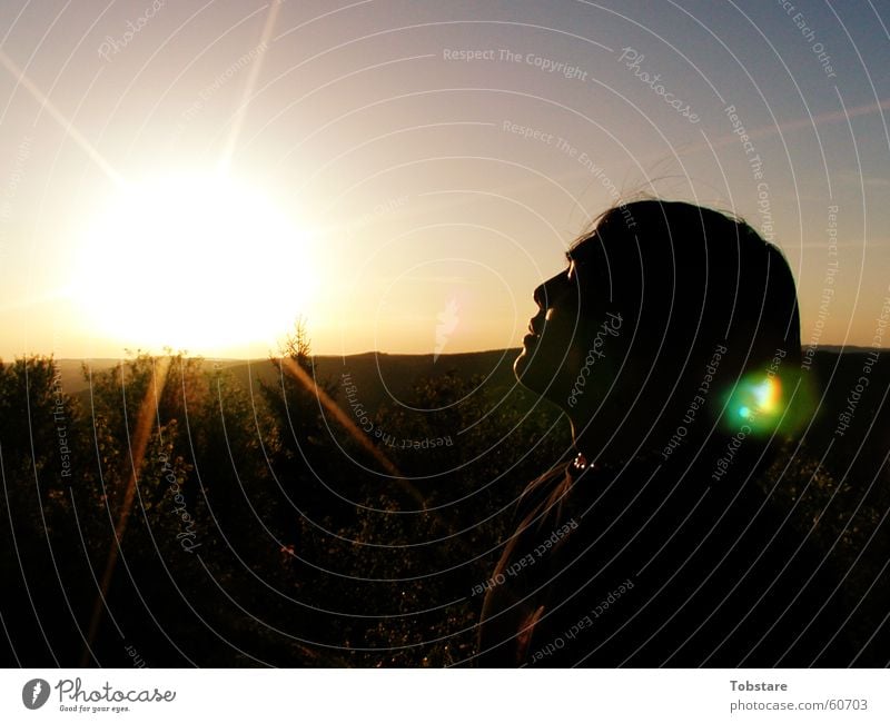 vs-sunrise Sunrise Sunlight Sunbeam Back-light Luminosity Dazzle Face of a woman Portrait photograph Profile Silhouette To enjoy Well-being Lens flare Warmth