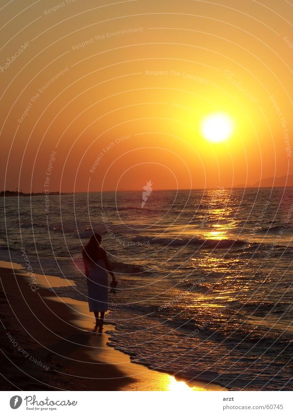 into the sunset -1- Sunset Beach Ocean Woman Honeymoon Water To go for a walk Evening