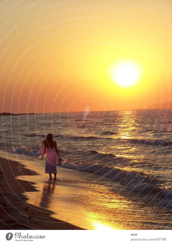 into the sunset -2- Sunset Beach Ocean Woman Honeymoon Water To go for a walk Evening