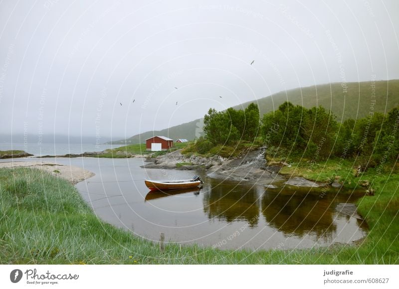 Vesterålen Environment Nature Landscape Plant Animal Water Climate Tree Grass Hill Mountain Fjord Norway Vesteralen House (Residential Structure) Hut