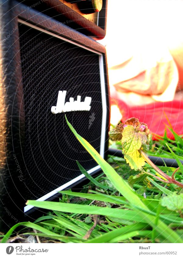 mini amplifier Loud Loudspeaker Intensifier Membrane Manufacturer Grass Green Plant Meadow Sound Lust Whim Spring Depth of field proportions