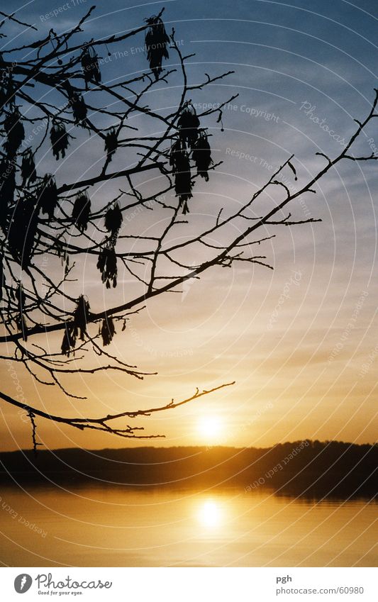 Sunset at Lake Starnberg Moody Yellow Twig Water Blue