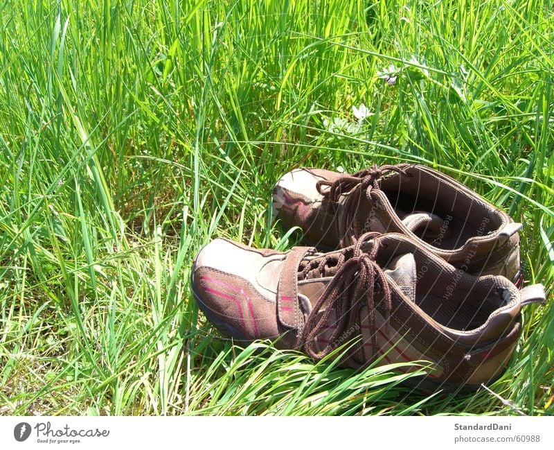 Back2Roots Meadow Ventilate Grass Green Resign Footwear Relaxation Calm Loneliness Lawn To be silent Grass surface Summer Clothing Nature idleness Pasture