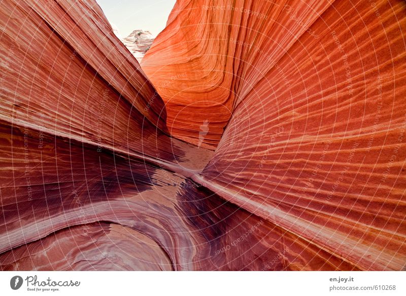 Traces in the sand Vacation & Travel Adventure Nature Landscape Climate Rock Canyon Desert Exceptional Fantastic Dry Orange Bizarre Uniqueness Discover Colour