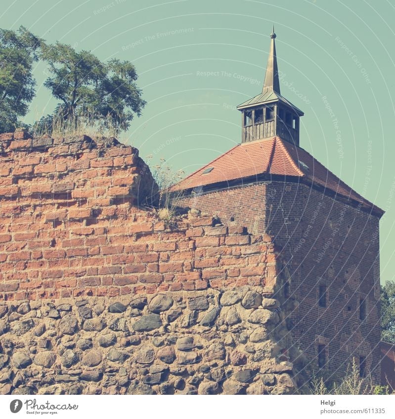 It's all just a facade, historically. Tourism Trip Summer Tree Beeskov Small Town Castle Manmade structures Building Architecture Wall (barrier) Wall (building)