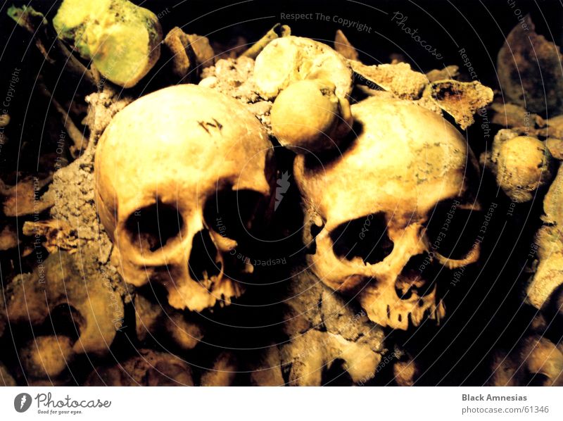 Memento Mori 2 Skeleton Grave chamber Might Paris Catacomb Entrance Death's head Large dissuasive rich in the dead