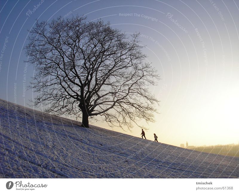 I´ll be there! Winter Olympic Park Munich Sky tree trees couple snow sun heaven