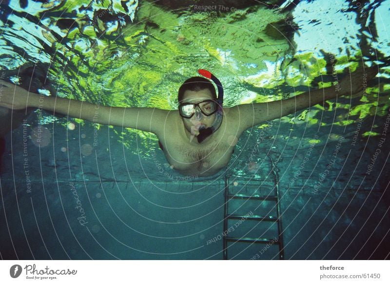 I'm diving! Dive Snorkeling Swimming pool dlg Water Underwater photo Swimming & Bathing