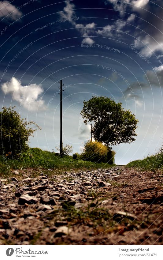 landscape II Clouds Grass Meadow Field Electricity pylon Tree Countries Summer Sky Lanes & trails country Nature Gravel