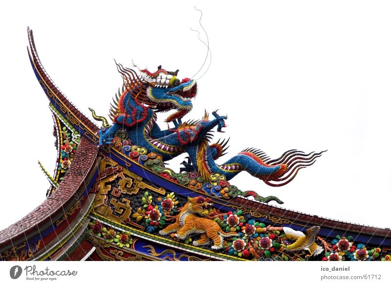 Dragons at Confucius Temple in Taipei I Calm Art China Building Tourist Attraction Wood Old Historic Multicoloured Religion and faith Taiwan Tiger Asia Republic