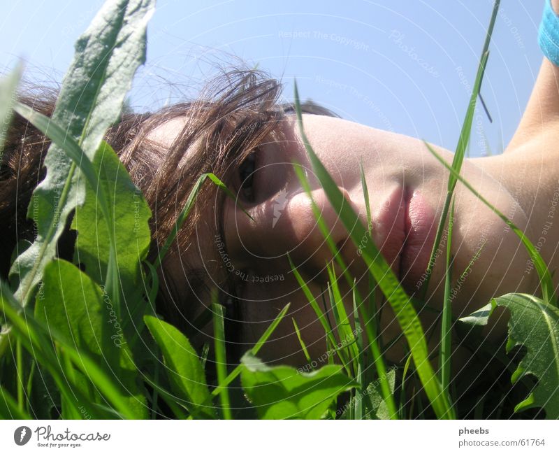 grass in front of your face Portrait photograph Meadow Grass Blade of grass Leaf Summer Girl Woman Lips Light Green Face Sky Lawn Lie Hair and hairstyles Blue