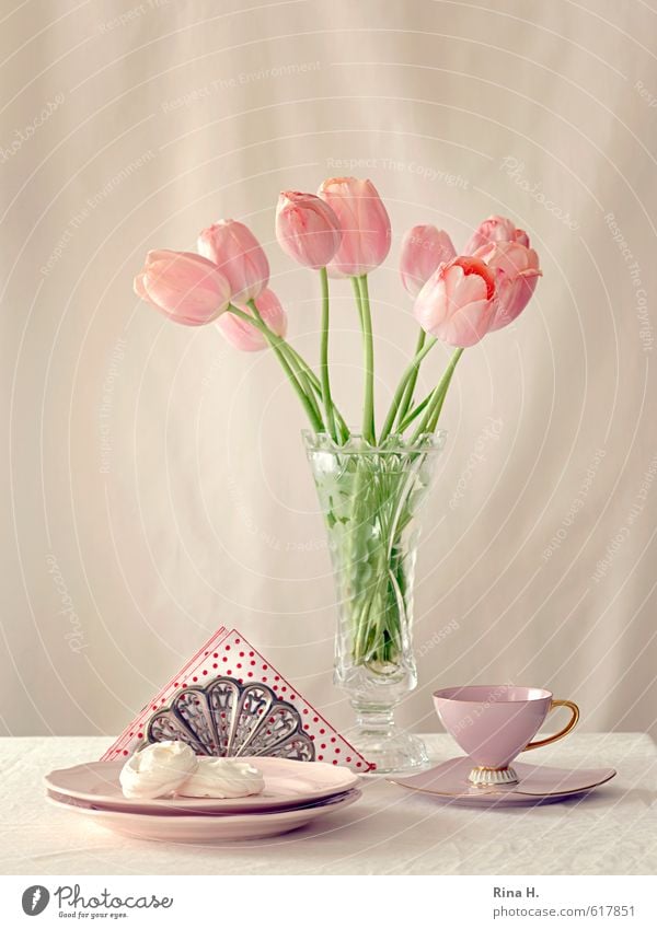 teatime Dough Baked goods Plate Cup Flower Tulip Blossoming Bright Delicious Sweet Pink Teatime Baiser Napkin Vase Bouquet Still Life Colour photo Interior shot