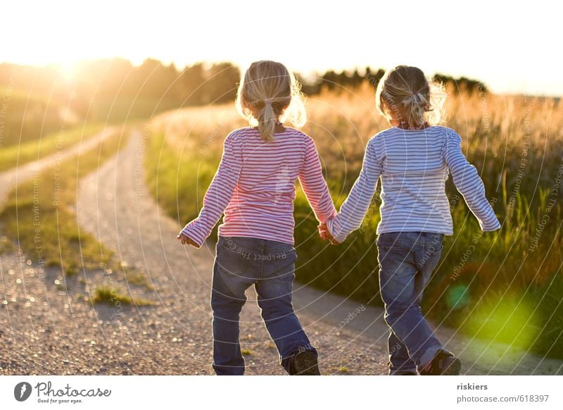 back to summer Feminine Child Girl Brothers and sisters Infancy 2 Human being 3 - 8 years Environment Nature Landscape Summer Beautiful weather Field Discover