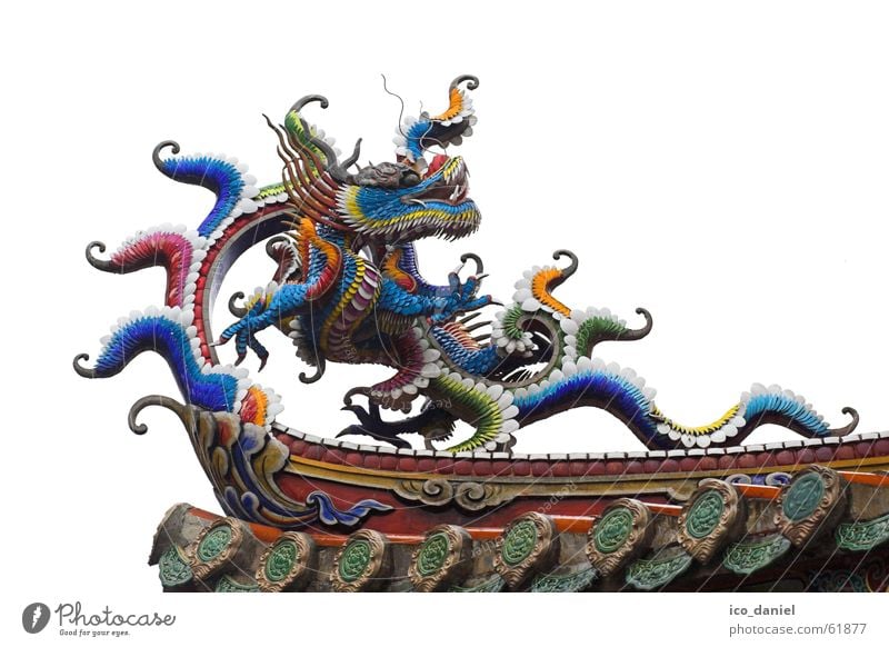 Dragons at Confucius Temple in Taipei II Calm Vacation & Travel Art China Building Tourist Attraction Wood Old Historic Multicoloured Religion and faith Taiwan