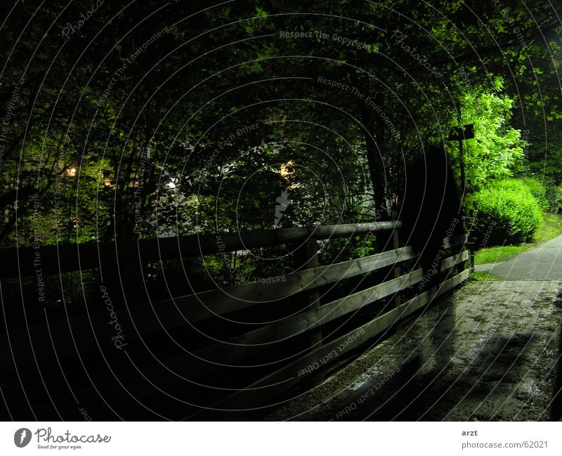 the ghost Night Dark Park Ghosts & Spectres  Bridge Movement