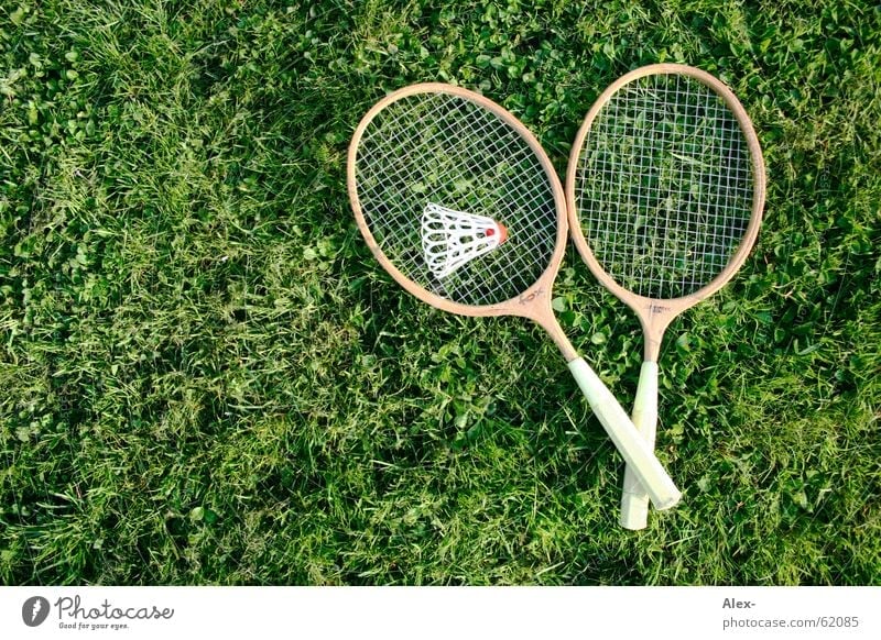 Counterstrike of the GDR Wood Badminton Grass Grating Quality Sports Lawn Ball Lie Old Copy Space left Object photography 2 In pairs Playing Shuttlecock