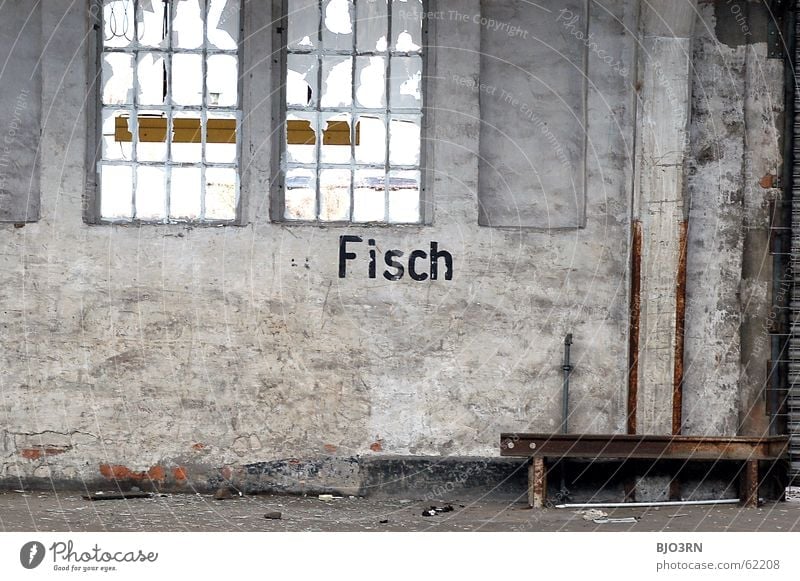 The main thing is fish Word Letters (alphabet) Black Seafood Window Derelict Shard Broken Loneliness Empty Slivered White Wall (building) Wall (barrier) Dirty