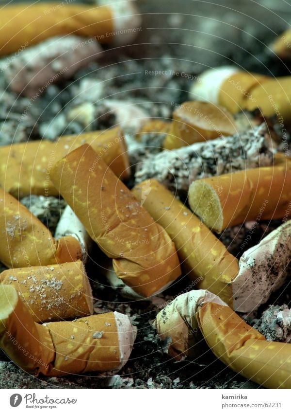 [topography] Cigarette Smoking Smoke Ashtray taste stew puffed Filter Ashes Feasts & Celebrations Cigarette Butt