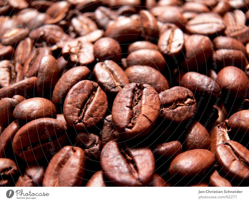 Ka-bo Village Beans Café Delicious Cup Macro (Extreme close-up) Mince Gastronomy Hot Physics Africa coffee beans milky coffee back Warmth Baun