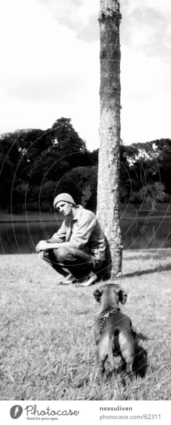 Guy with his dog Youth (Young adults) Concern boy tree playing headress attention owner daschund long-eared