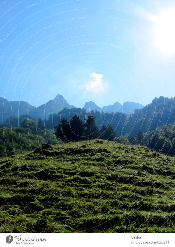 Mountain worlds 2 Nature Landscape Plant Earth Sky Sun Summer Beautiful weather Tree Grass Meadow Alps Peak Blue Green Far-off places Intimacy Colour photo