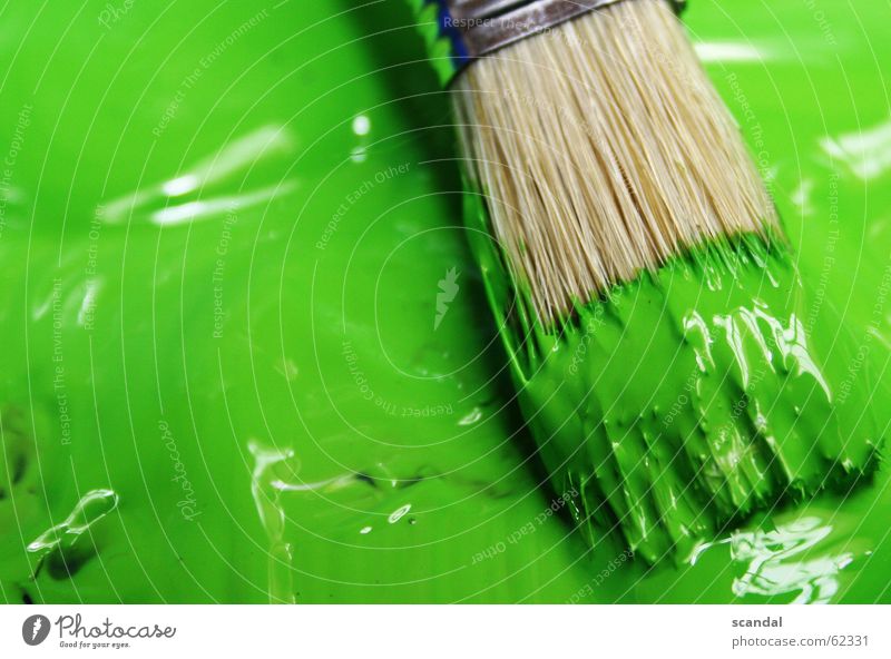 It's so green... Green Paintbrush Reflection Colour Varnish Painting (action, work) Draw paint reflections