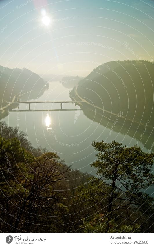 the Danube bridge Environment Nature Landscape Plant Air Water Sky Cloudless sky Horizon Sun Sunrise Sunset Sunlight Autumn Weather Beautiful weather Tree