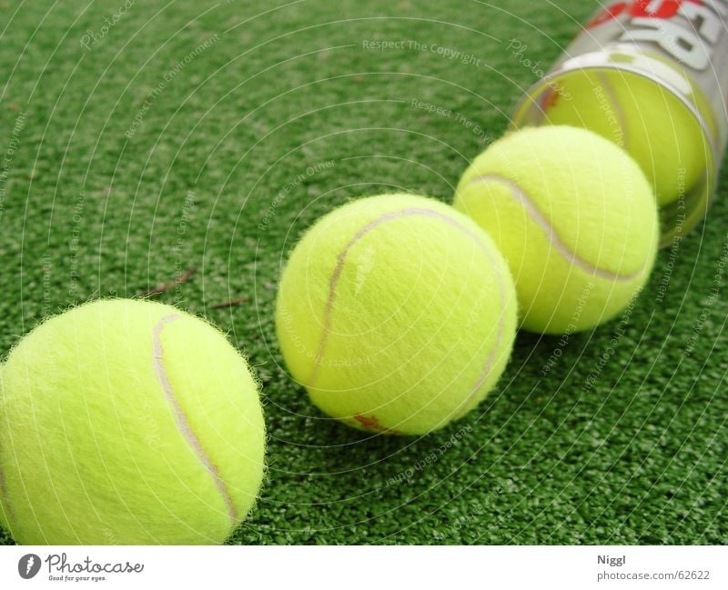 Serving for Match Tennis Tennis ball Yellow Green Wimbledon Felt Grass Lawn Sports Ball niggl