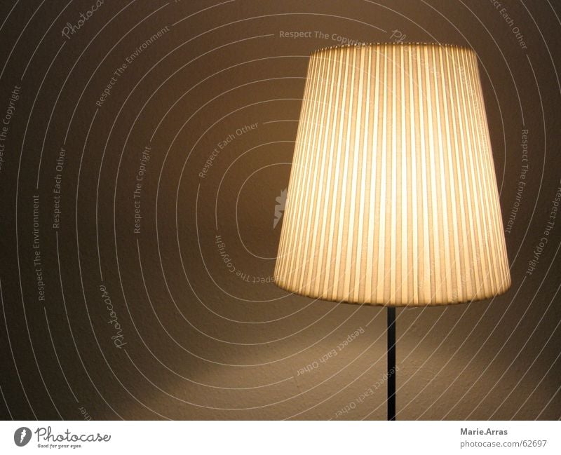 Homey Light Lamp Lampshade Brown Floor lamp Standard lamp Luminosity Dusk Evening Shadow