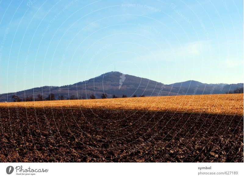 harvest time Environment Nature Landscape Plant Elements Earth Sky Beautiful weather Agricultural crop Field Mountain Esthetic Blue Brown Gold Contentment
