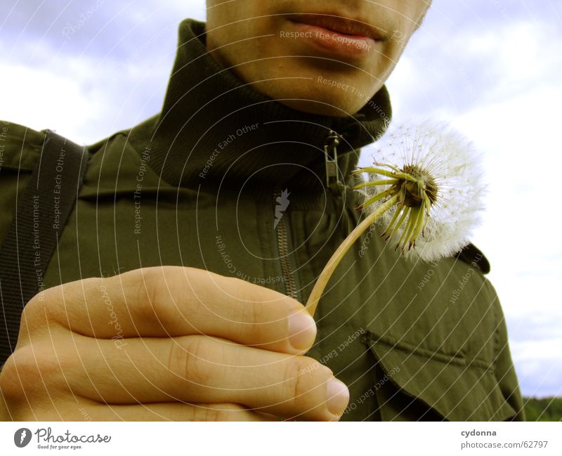 pustefix Hand Blow Man Lips Dandelion Spring Ease Hiking Release Plant Portrait photograph Safety Dangerous Delicate Graceful Blossom Human being Beautiful