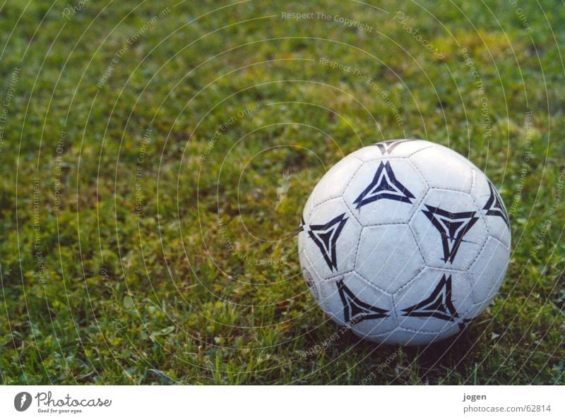 The ball is round... Meadow Green White Stadium National league Goalkeeper Attacker Lawn Sports stand World champion Grass UEFA Cup Cup (trophy) Holiday season