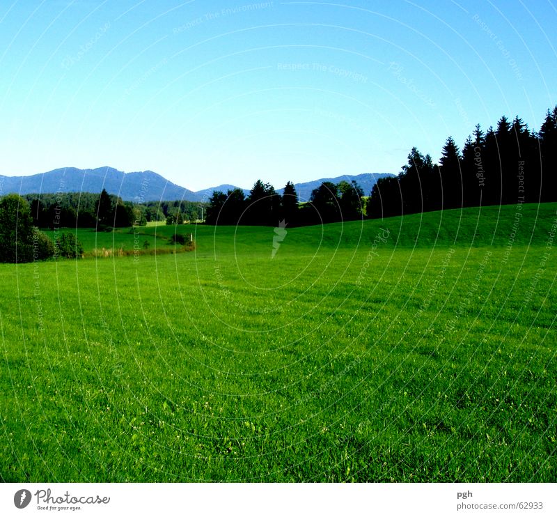 Juicy Bavarian meadow near Iffeldorf Forest Green Landscape Mountain Sky green lush meadow Blue