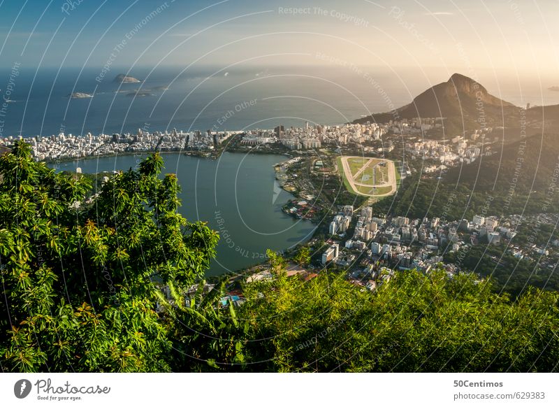 View over Rio de Janeiro Vacation & Travel Tourism Trip Far-off places Freedom Sightseeing City trip Cruise Summer Summer vacation Sun Beach Ocean Landscape