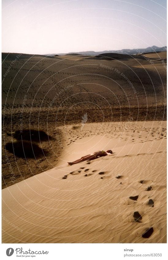 Canarian Dunes Evening sun Freedom Adventure Impressive Beach dune Far-off places Sand Warmth Nature To enjoy