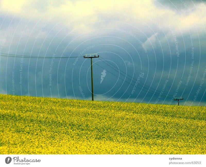 Something's coming towards us... Summer Dark Canola Canola field Flower Agriculture Clouds Bad weather Electricity Transmission lines Hope Expectation Eerie