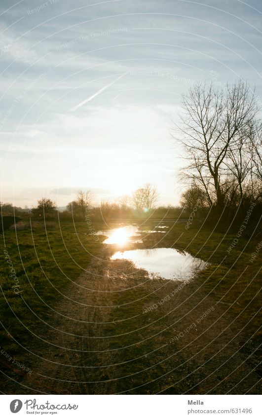 puddle picture Environment Nature Landscape Earth Water Sky Sun Sunrise Sunset Sunlight Tree Meadow Field Lanes & trails Footpath Natural Puddle Rural Sludgy