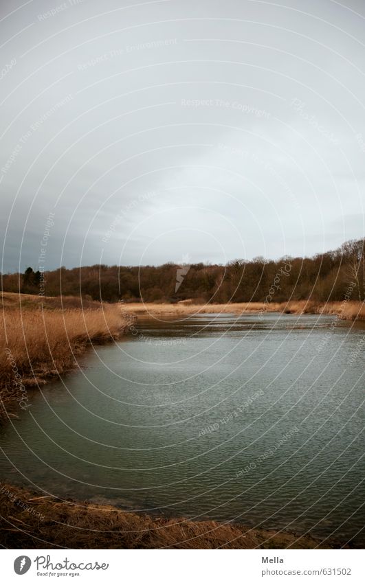 secret lake Environment Nature Landscape Water Sky Clouds Bad weather Lakeside Pond Dark Natural Gloomy Gray Loneliness Calm Deserted Dreary Colour photo